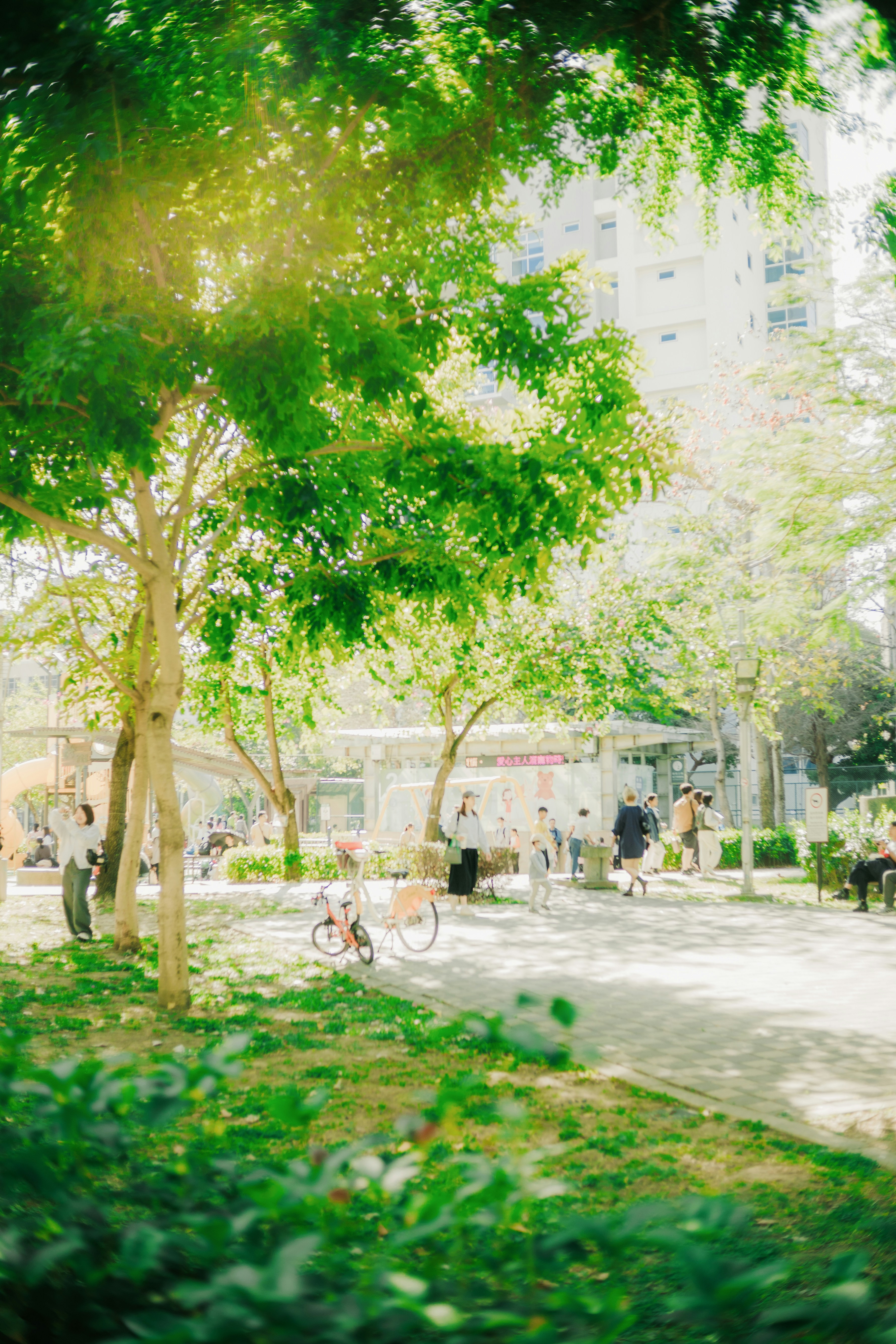 A green urban park with trees and people — the kind of community space Basoro works to protect