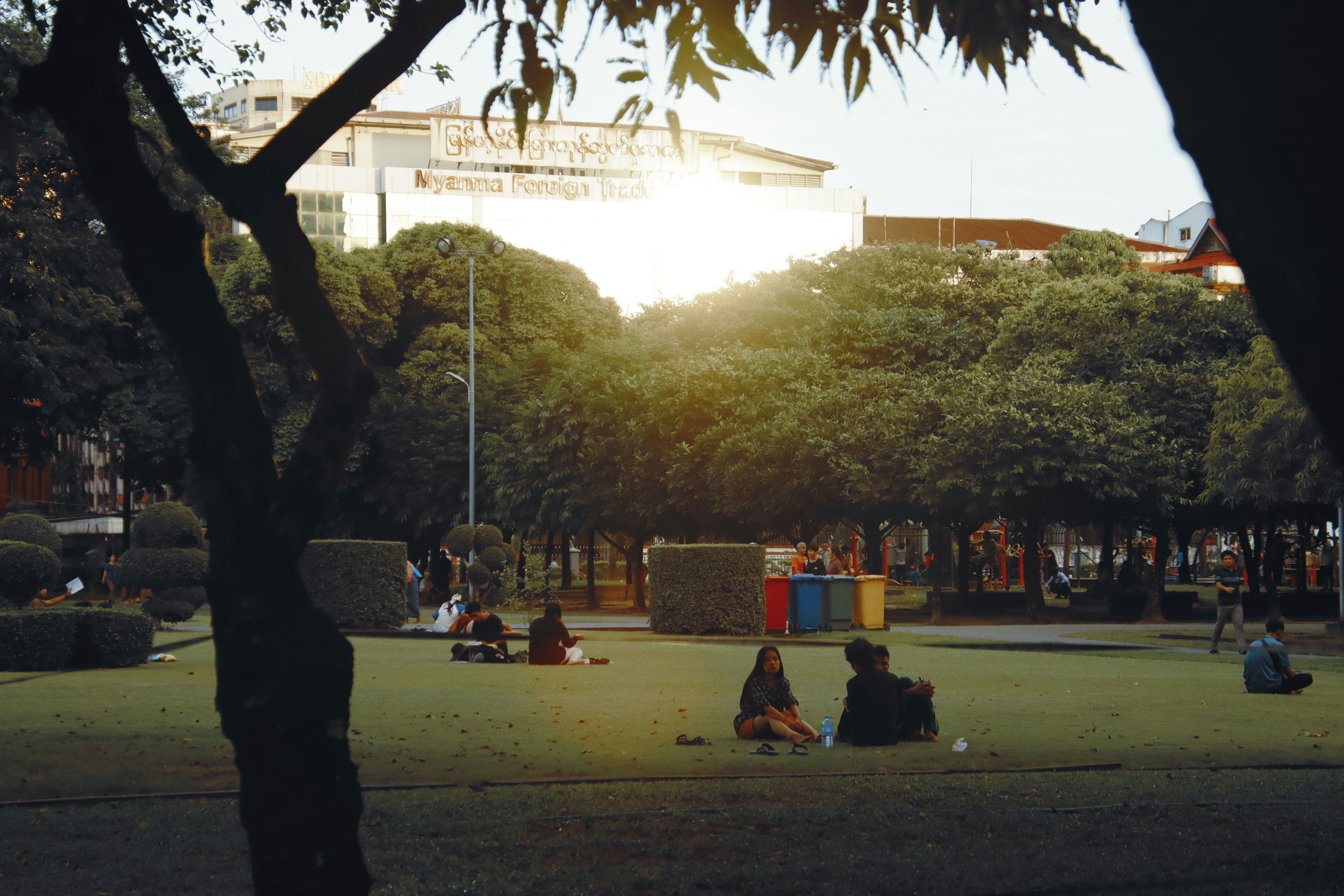 People gathering in a park with trees and recycling bins — community and sustainability together